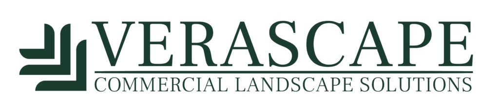 Charleston Chapter ASA Member